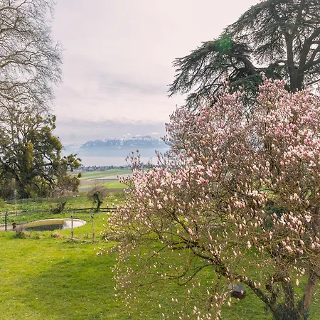 Château De Frühstückspension *