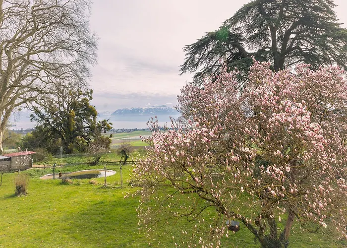 Château De Frühstückspension *